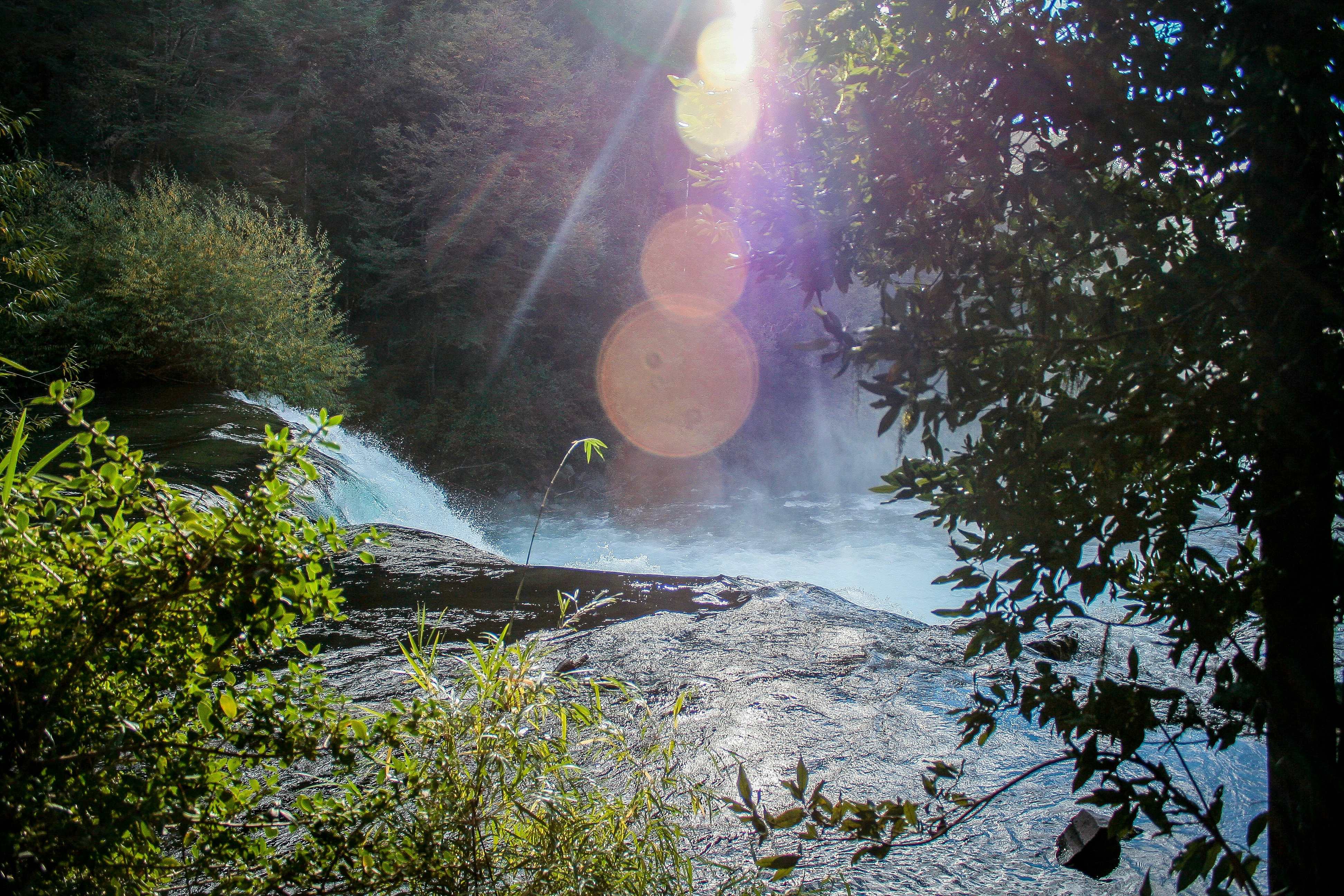 Photo by ricardoalfarog