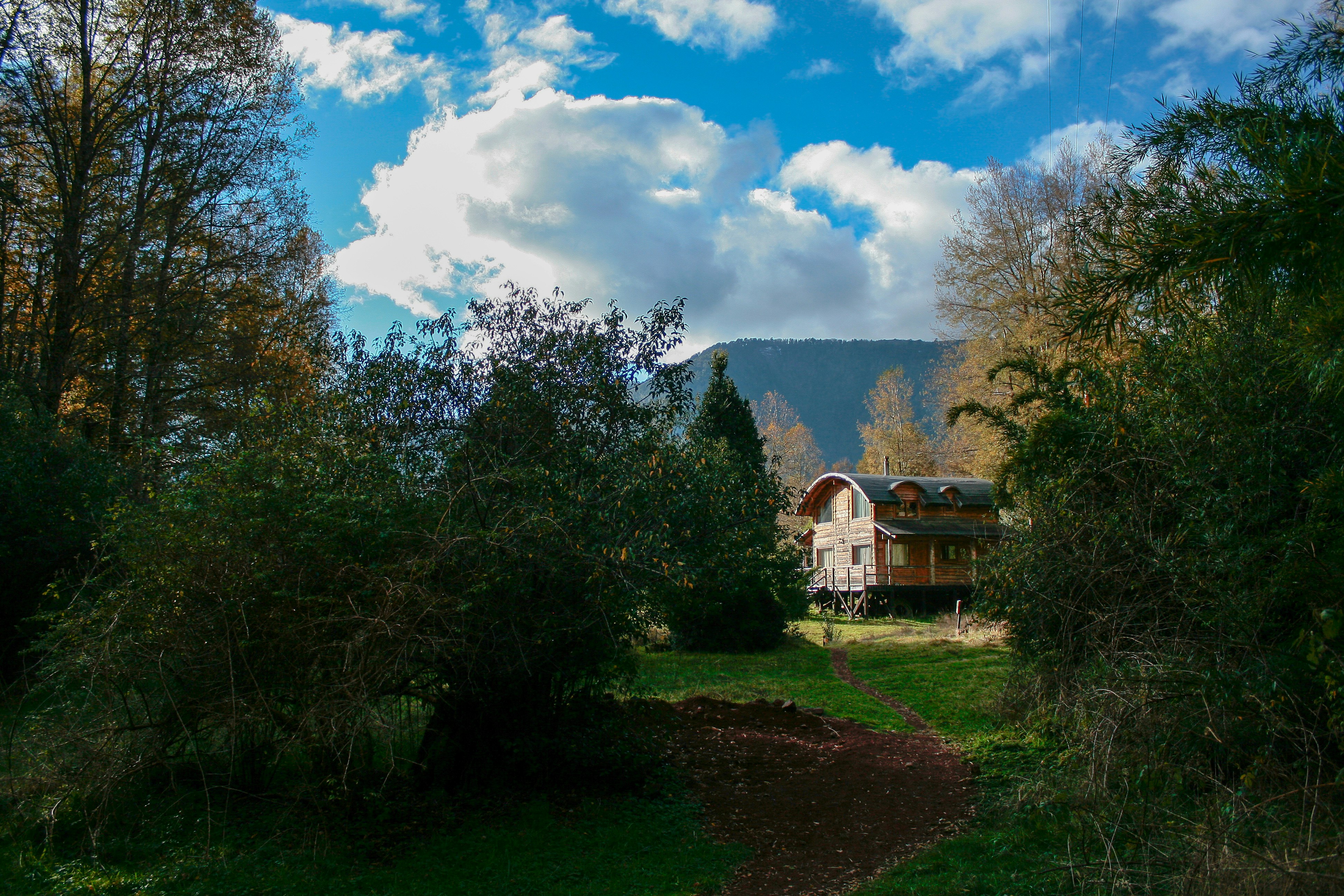 Photo by ricardoalfarog