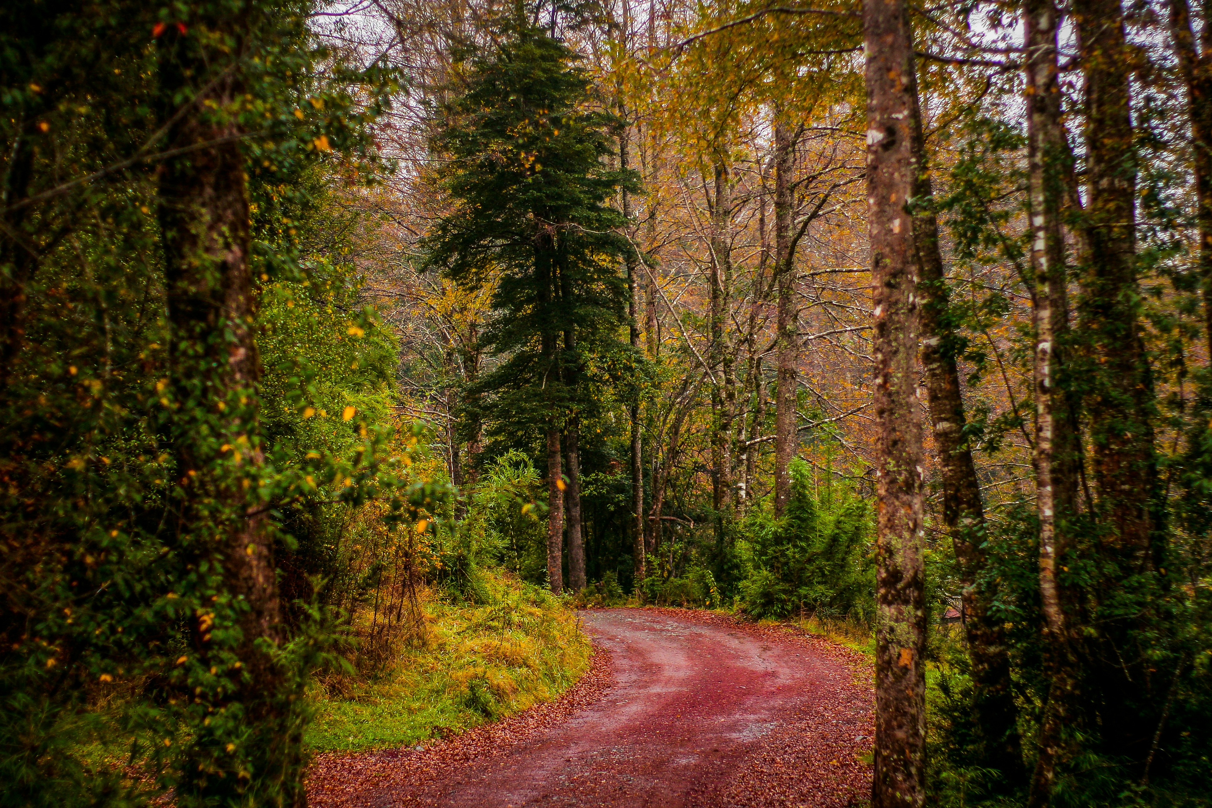 Photo by ricardoalfarog