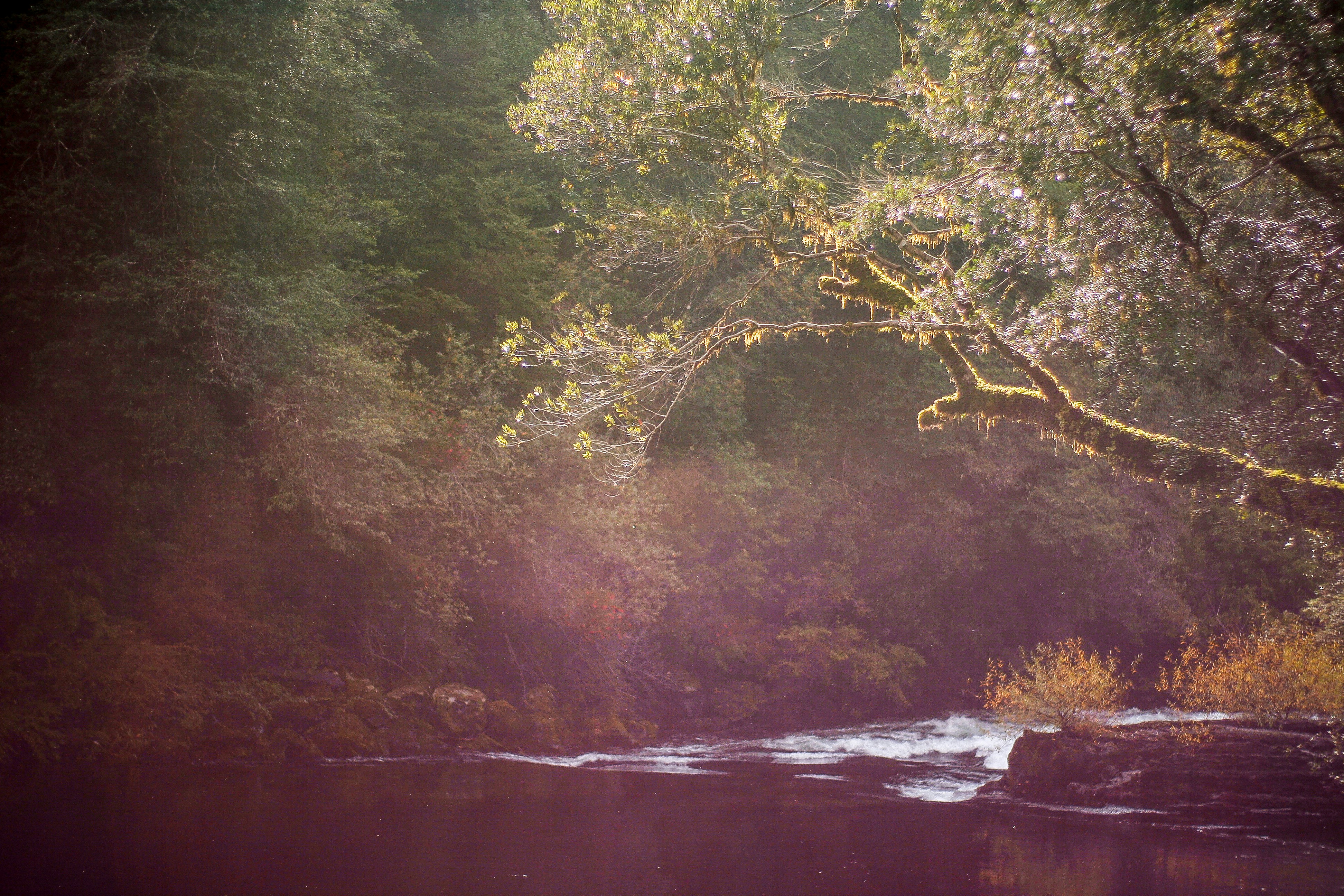 Photo by ricardoalfarog