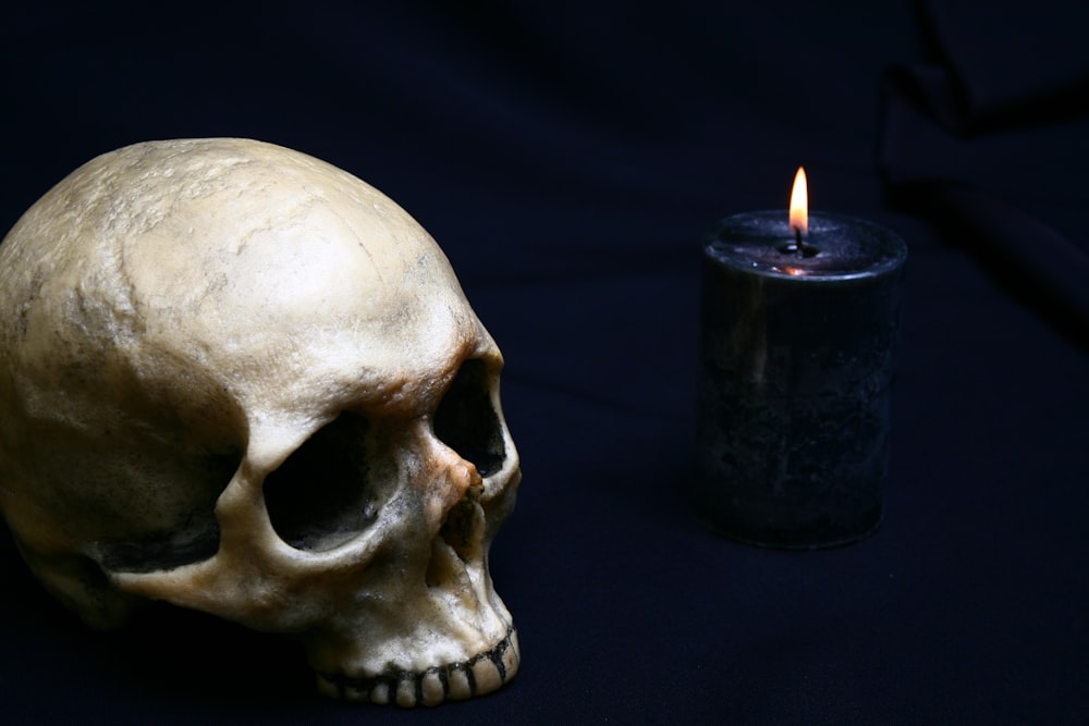 skull near candle