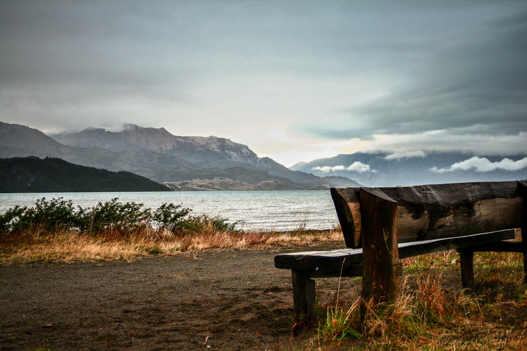 brown wooden bench