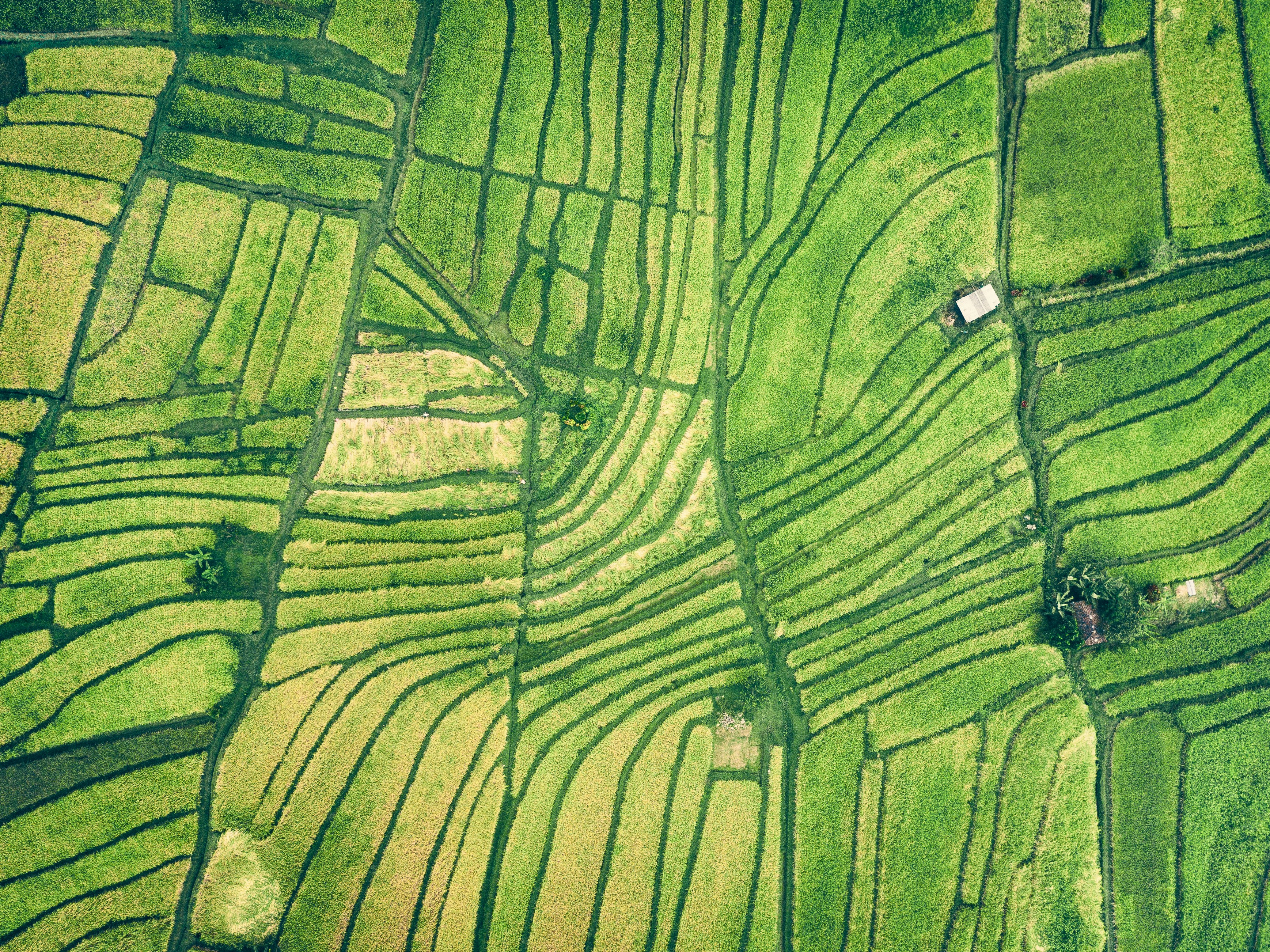 Photo by unstable_affliction