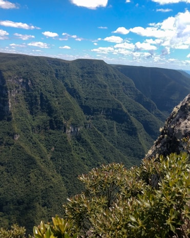 A stunning view of a mountain range covered in lush greenery.