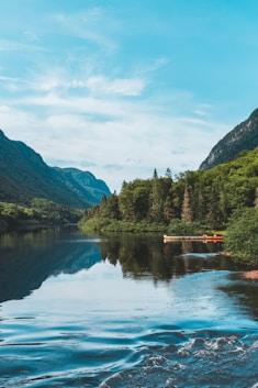 lake and trees