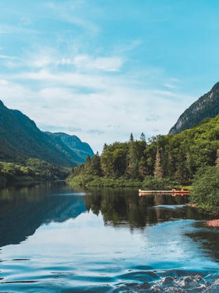 lake and trees