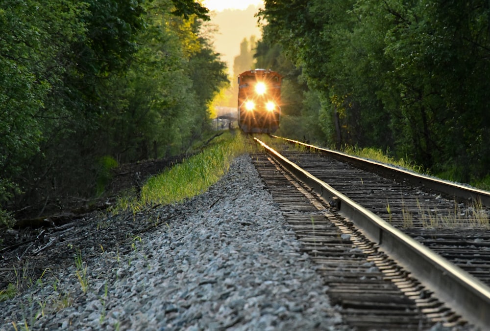 shallow focus photo of red train