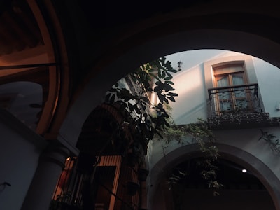 Elegant riad courtyard with intricate Moroccan tilework and lush greenery under soft sunlight.