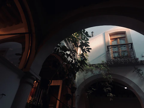 Sunlight filtering through the courtyard of a traditional Querétaro house.