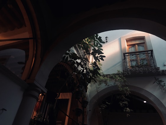 A sunlit courtyard framed by intricate Rajasthani jharokha windows with vibrant flowers and traditional decor.