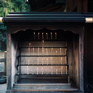 A peaceful shrine with traditional astrological charts and candles glowing softly.