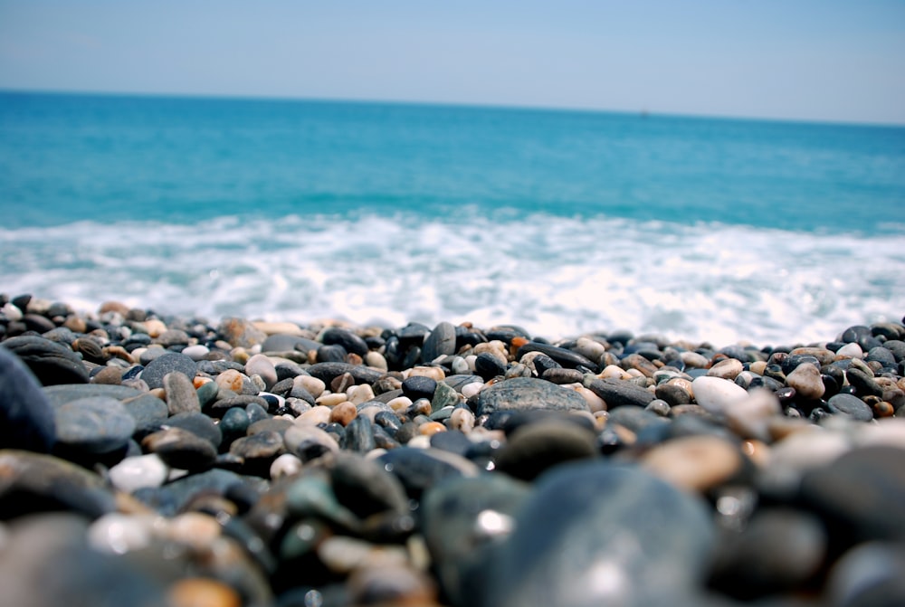 closeup photo of pebbles near sea