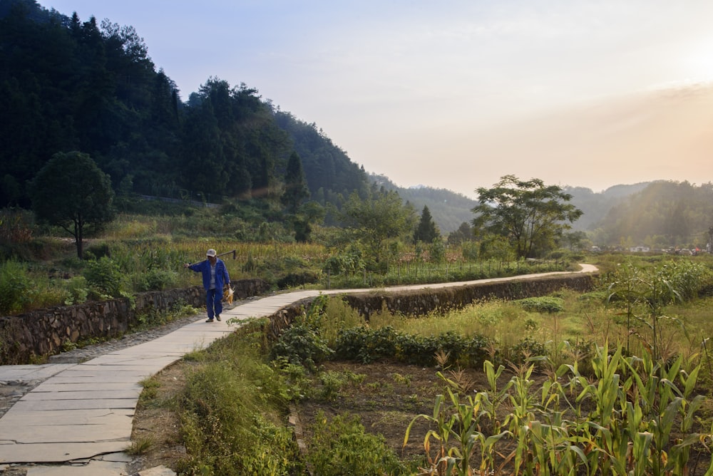 man walking on pathway near plants