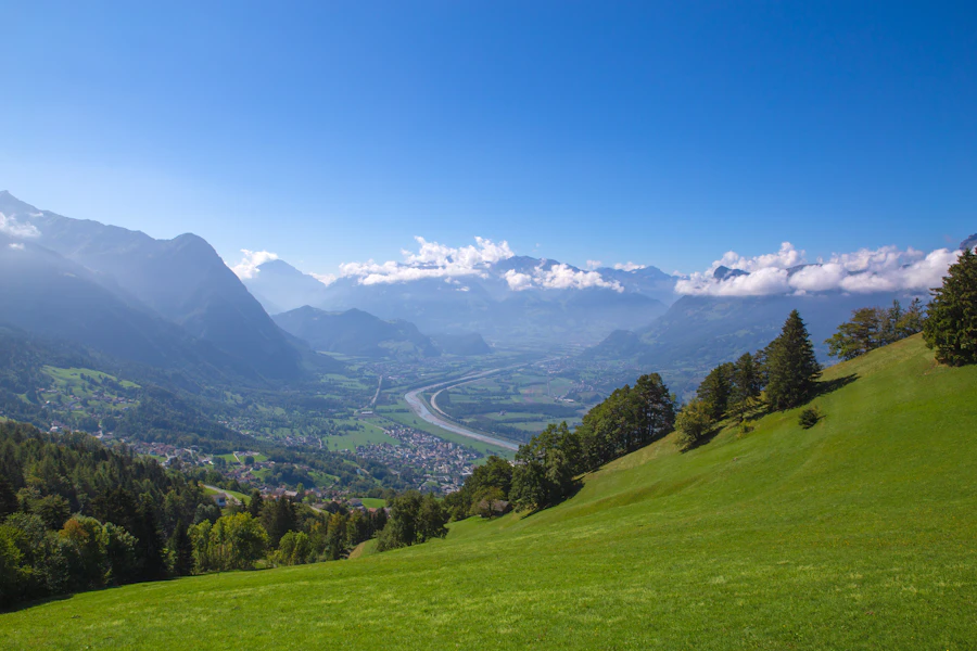 A green Alpine slope overlooking the valley in Liechtenstein