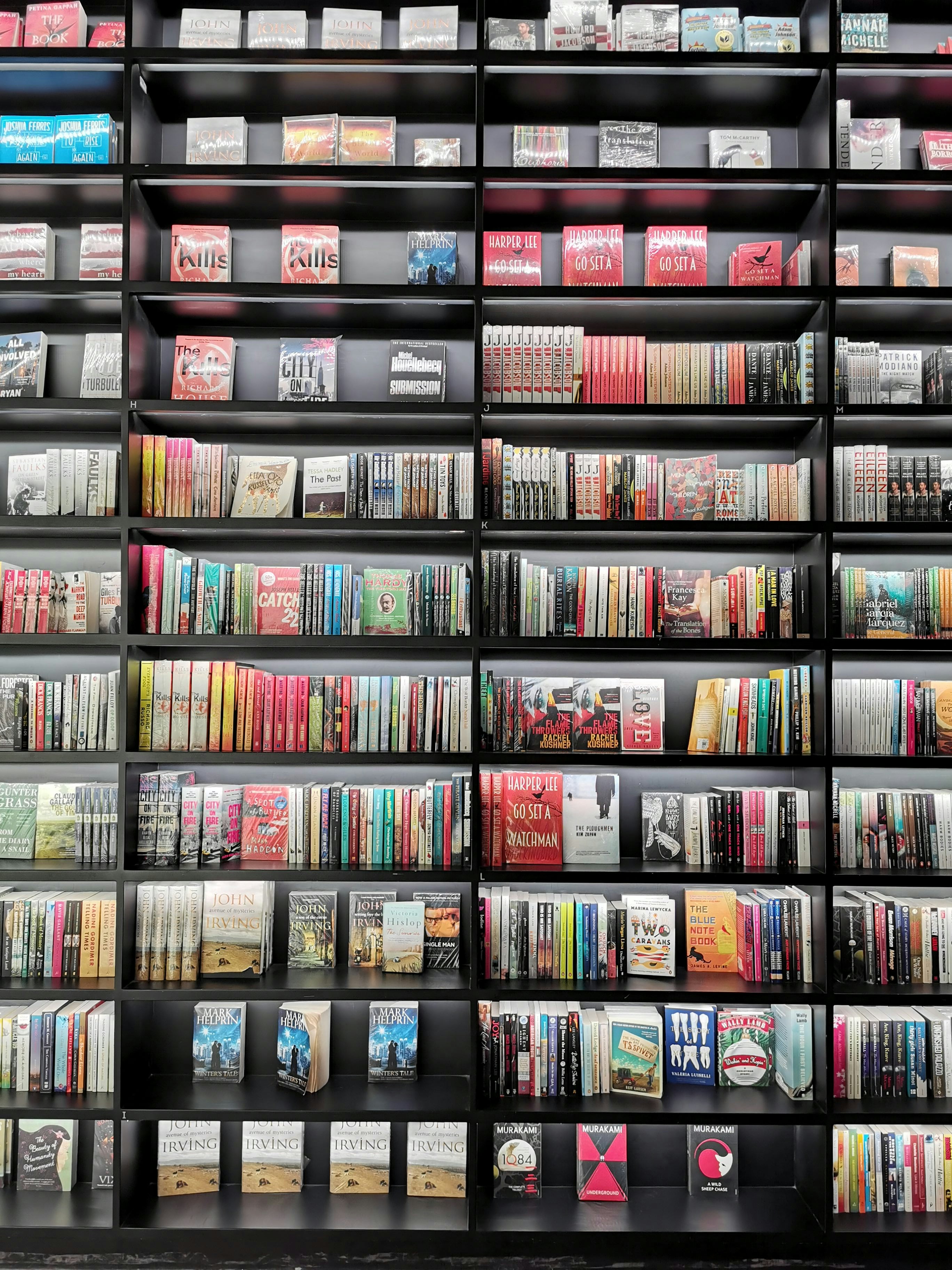 Explore Our Children's Books