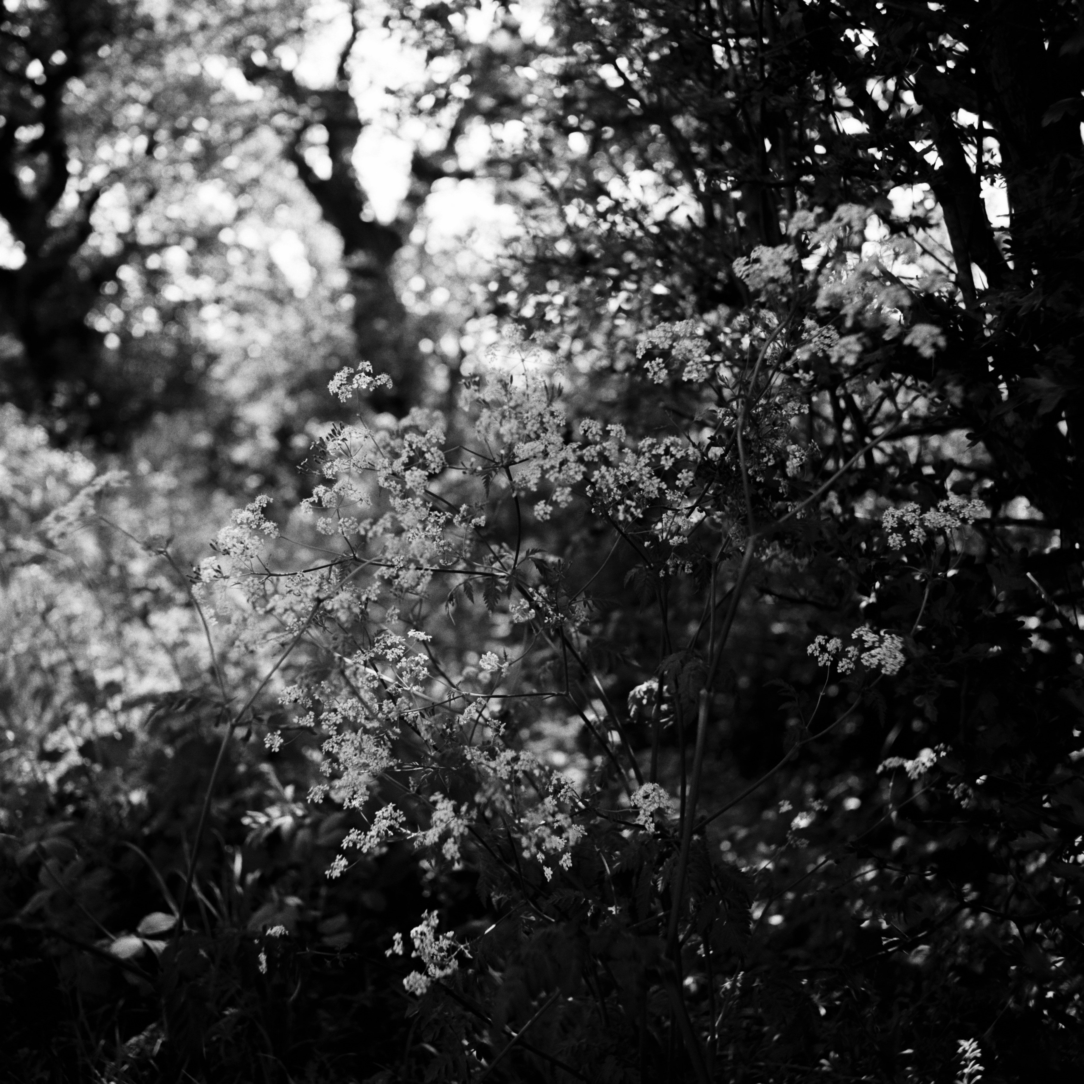 Photo by anniespratt