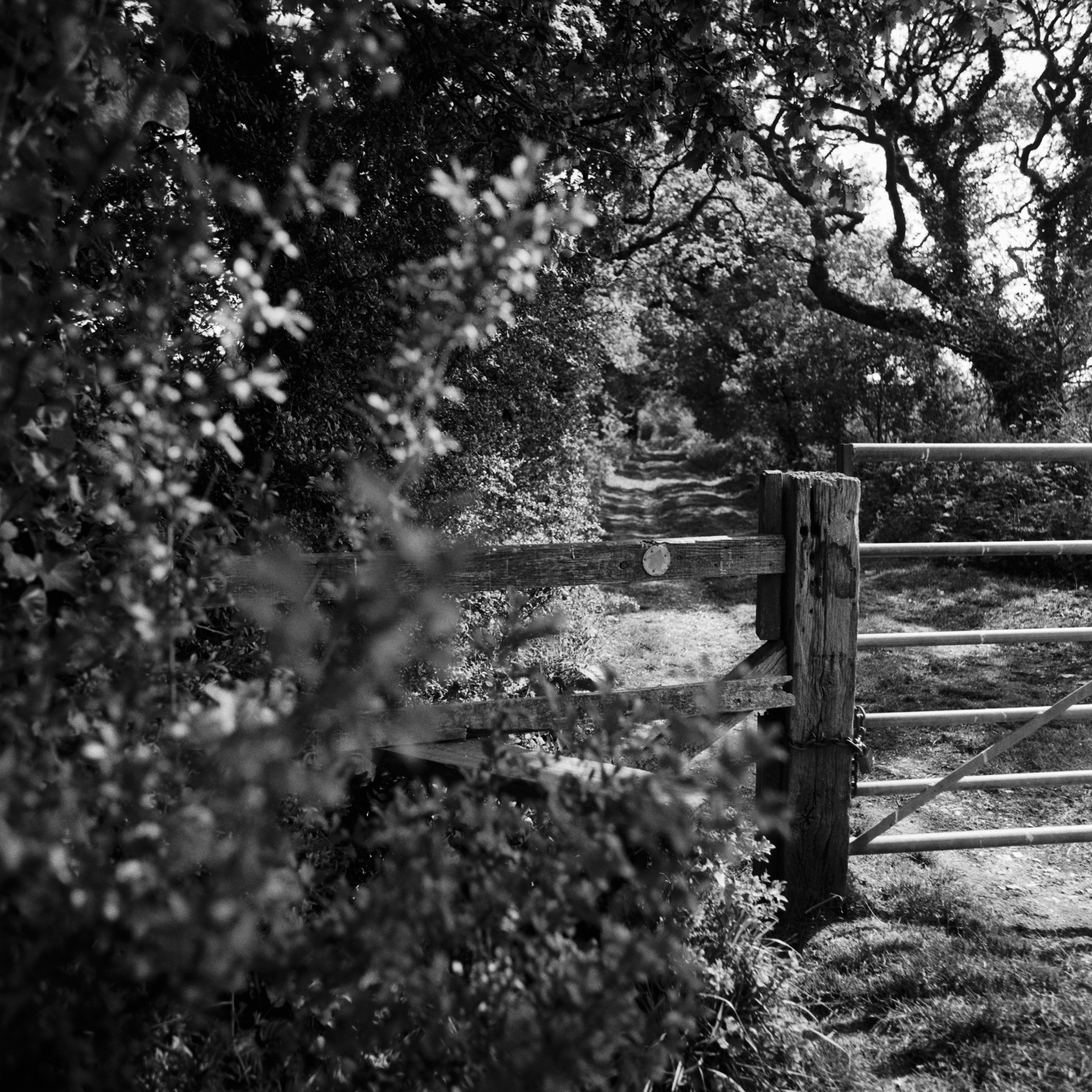 Photo by anniespratt