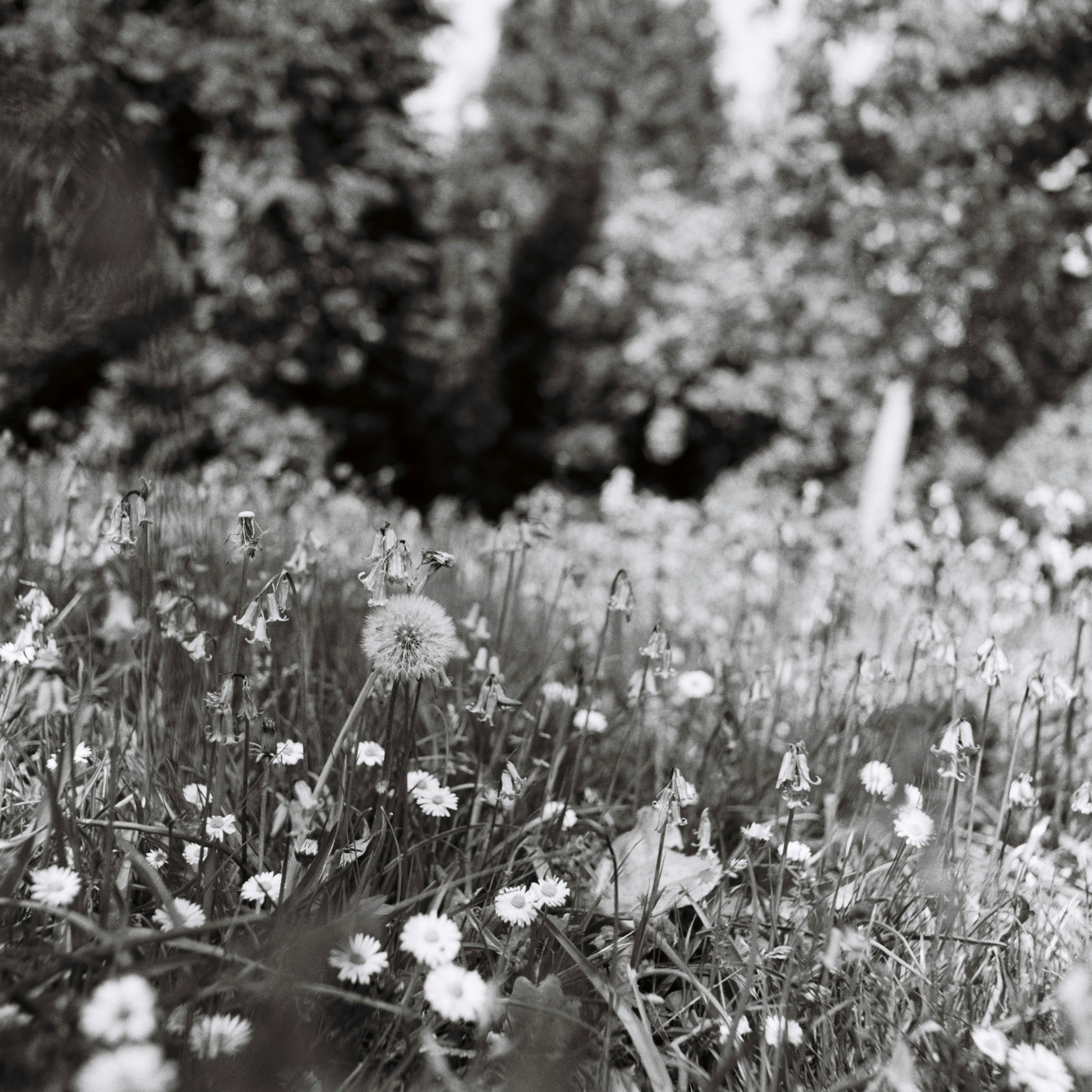 Photo by anniespratt