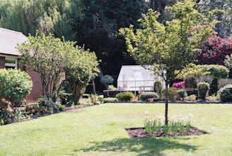 brown wooden houses near green field and surrounded with tall and green trees