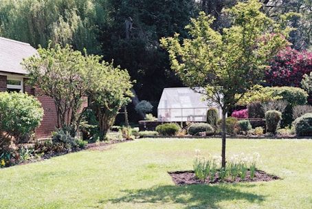 brown wooden houses near green field and surrounded with tall and green trees