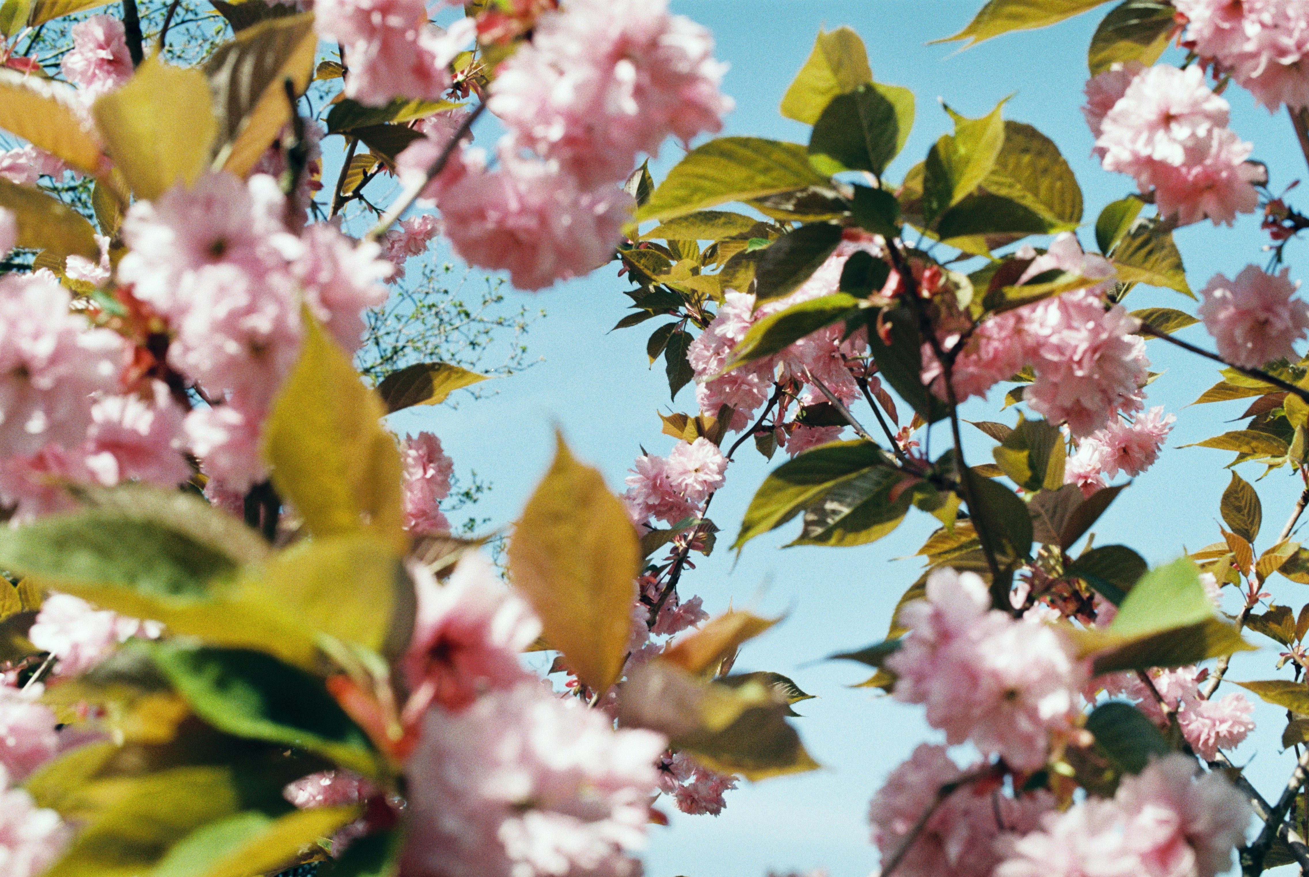 Photo by anniespratt