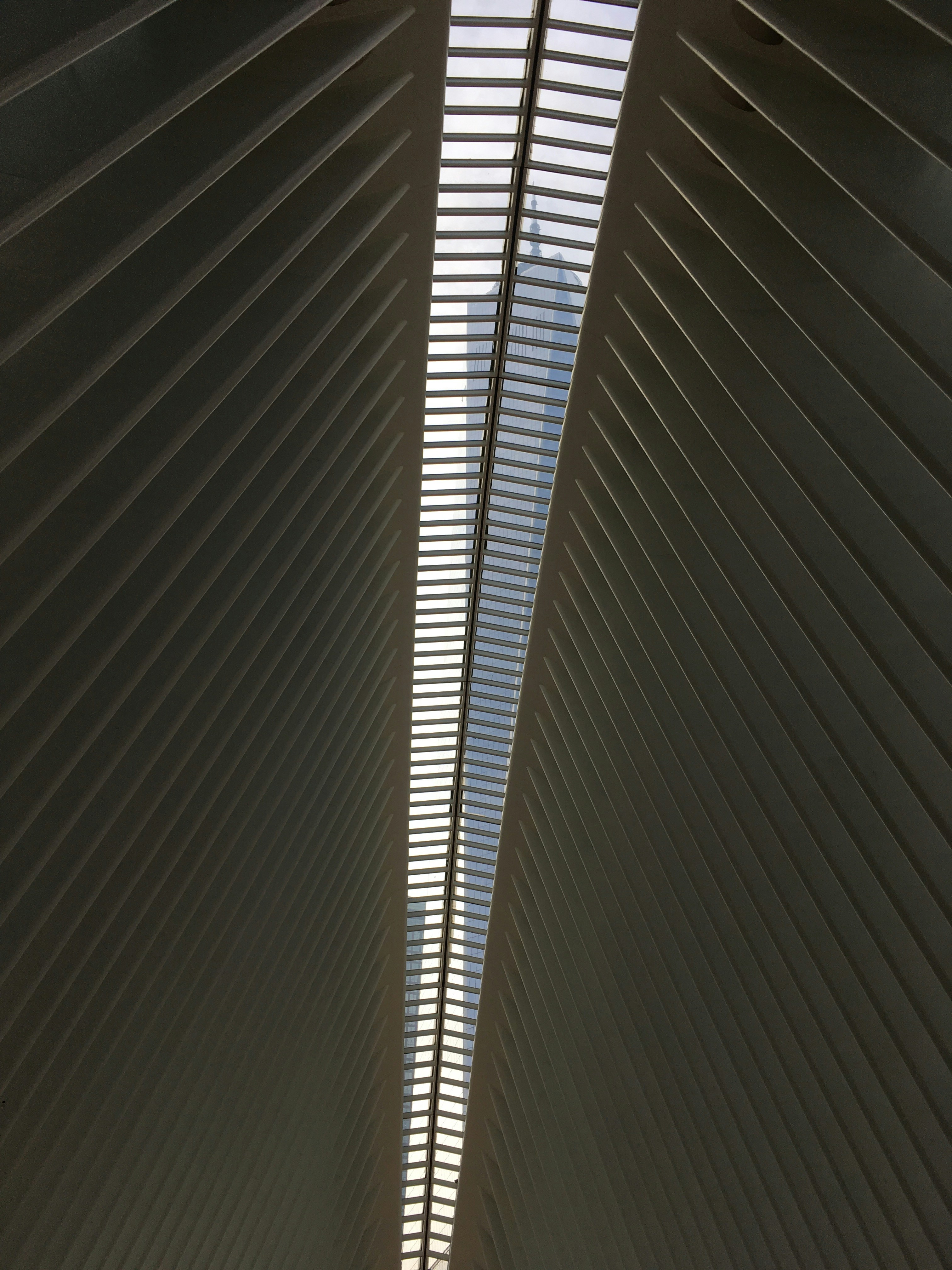 Photo by rajeshpadman