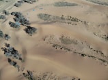An aerial view of a desert landscape with scattered vegetation and a group of colorful tents near some trees. The sandy terrain features gentle dunes and sparse patches of grass. Shadows cast by the trees add depth to the scene.