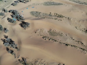 An aerial view of a desert landscape with scattered vegetation and a group of colorful tents near some trees. The sandy terrain features gentle dunes and sparse patches of grass. Shadows cast by the trees add depth to the scene.