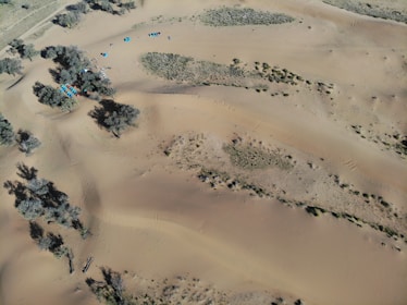 An aerial view of a desert landscape with scattered vegetation and a group of colorful tents near some trees. The sandy terrain features gentle dunes and sparse patches of grass. Shadows cast by the trees add depth to the scene.