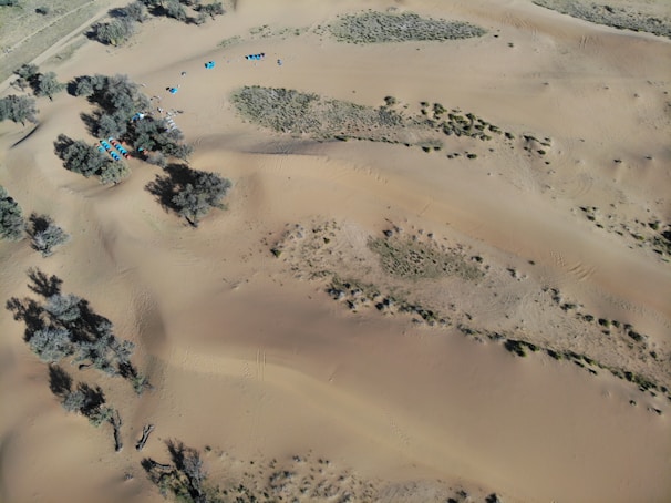 An aerial view of a desert landscape with scattered vegetation and a group of colorful tents near some trees. The sandy terrain features gentle dunes and sparse patches of grass. Shadows cast by the trees add depth to the scene.