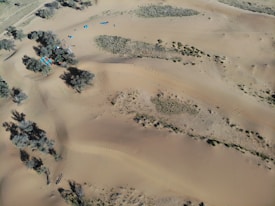 An aerial view of a desert landscape with scattered vegetation and a group of colorful tents near some trees. The sandy terrain features gentle dunes and sparse patches of grass. Shadows cast by the trees add depth to the scene.