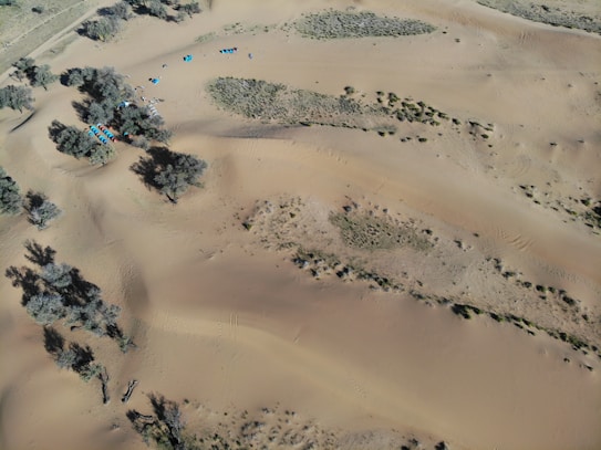 An aerial view of a desert landscape with scattered vegetation and a group of colorful tents near some trees. The sandy terrain features gentle dunes and sparse patches of grass. Shadows cast by the trees add depth to the scene.
