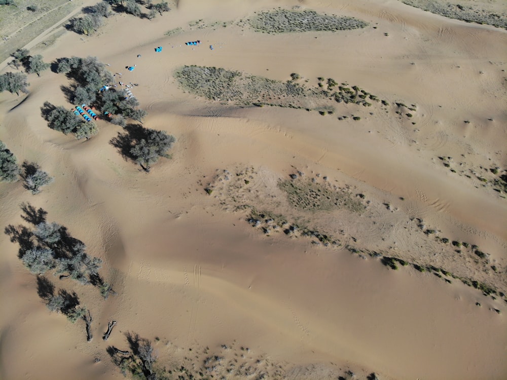 an aerial view of a sandy area with trees