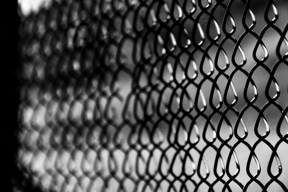 gray scale photography of chain link fence