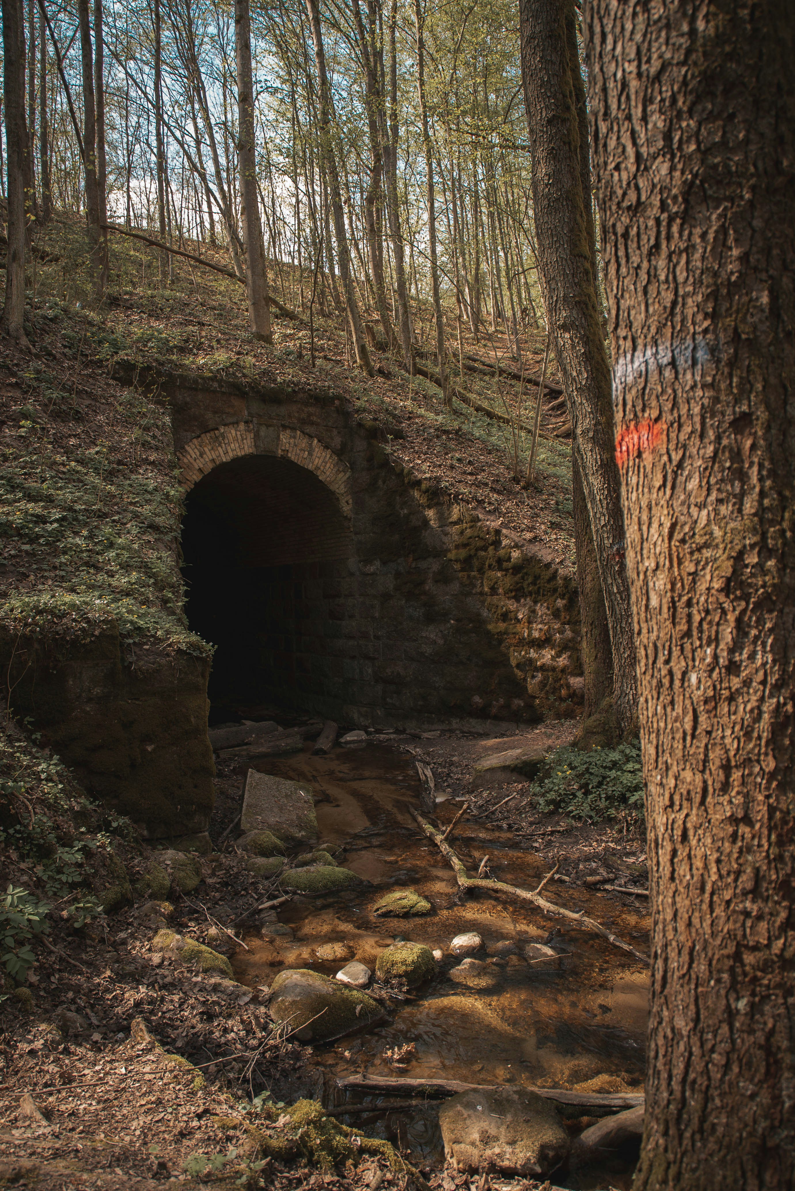 Photo by karolismili