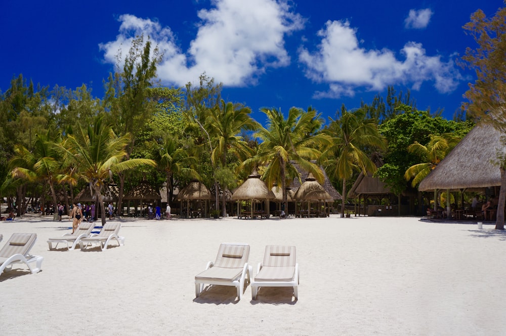 two loungers near hut during daytime