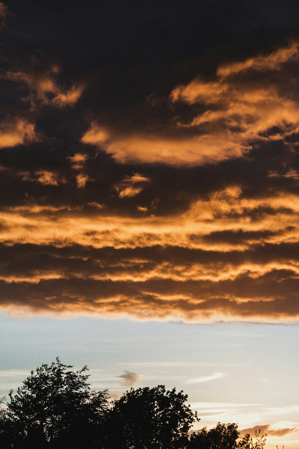 Silhouettenfotografie eines Baumes unter bewölktem Himmel während der goldenen Stunde
