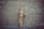 dummy near wall