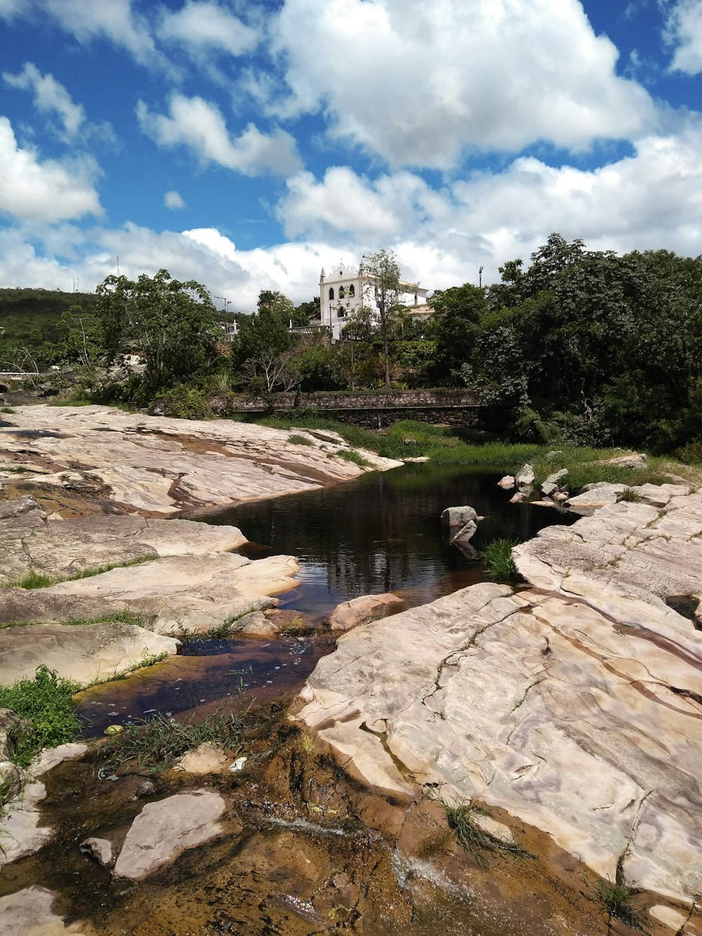 Cuerpo de agua cerca de árboles bajo nubes blancas durante el día