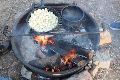A rustic campfire setup with a cast iron skillet cooking over glowing embers in a forest clearing.