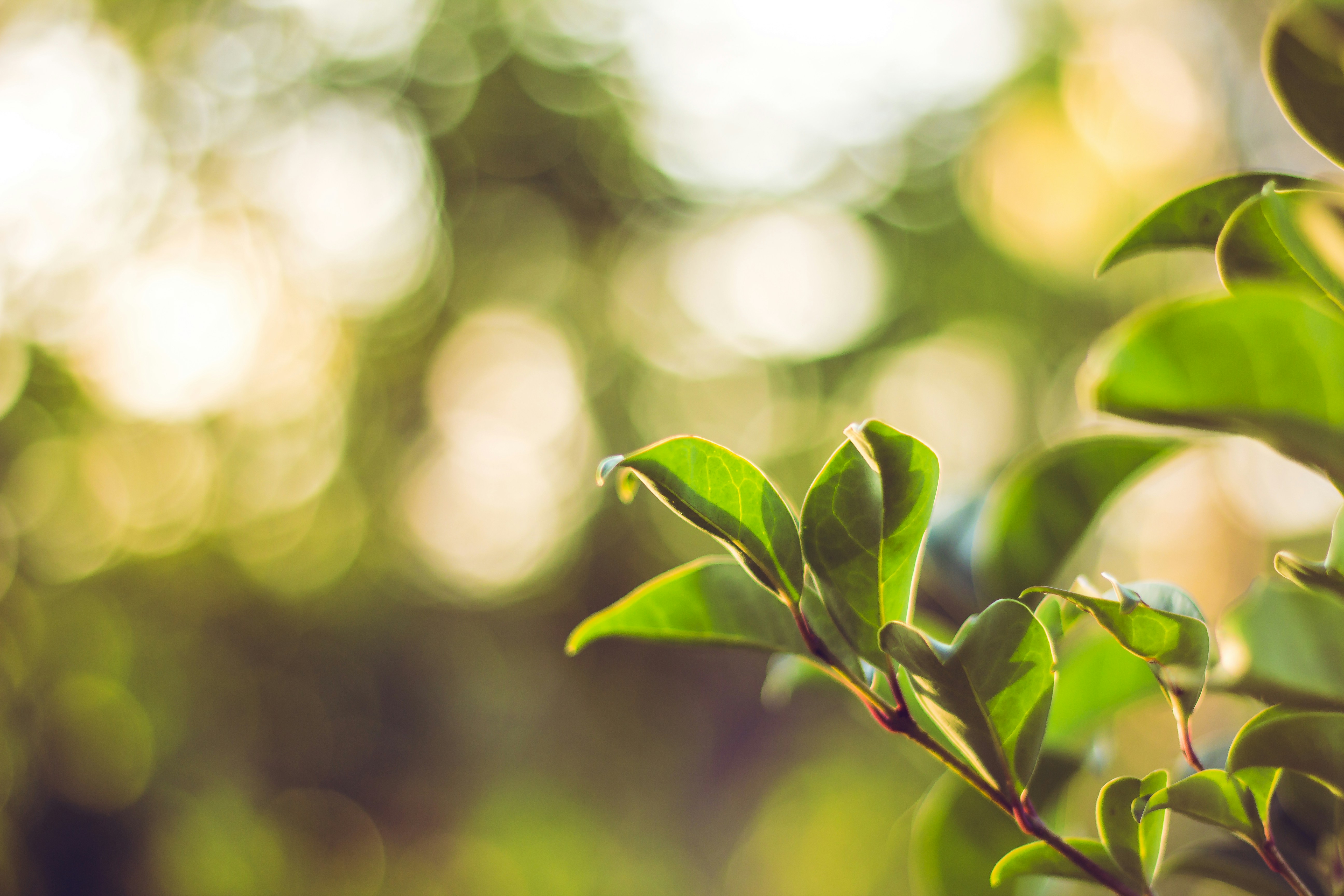 Photo by siegmundphotography