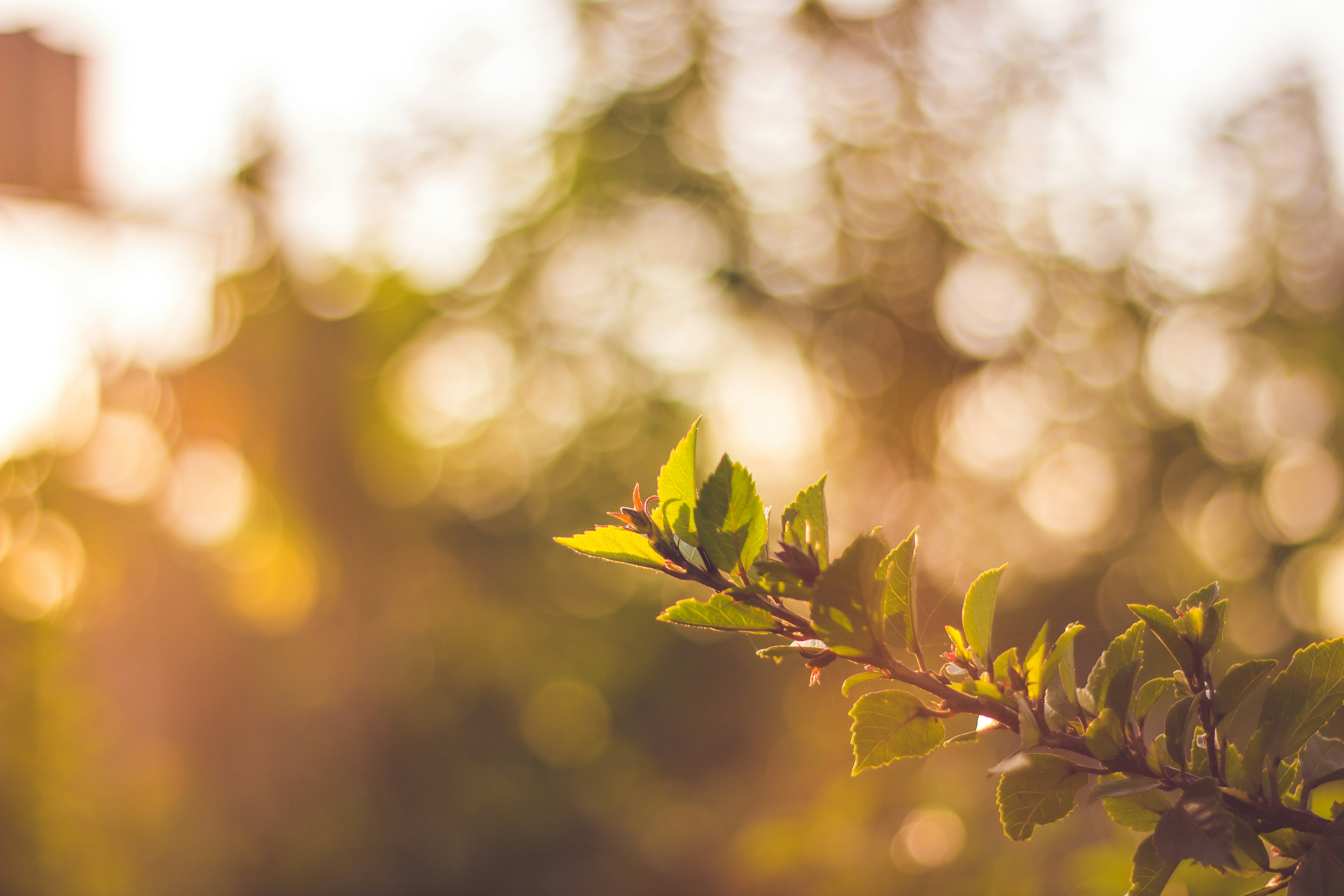 Photo by siegmundphotography