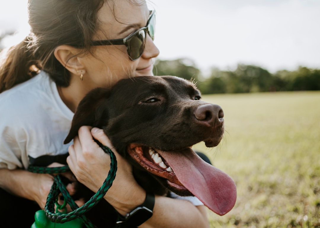 The Ultimate Guide to Dog Parks in Northern Virginia