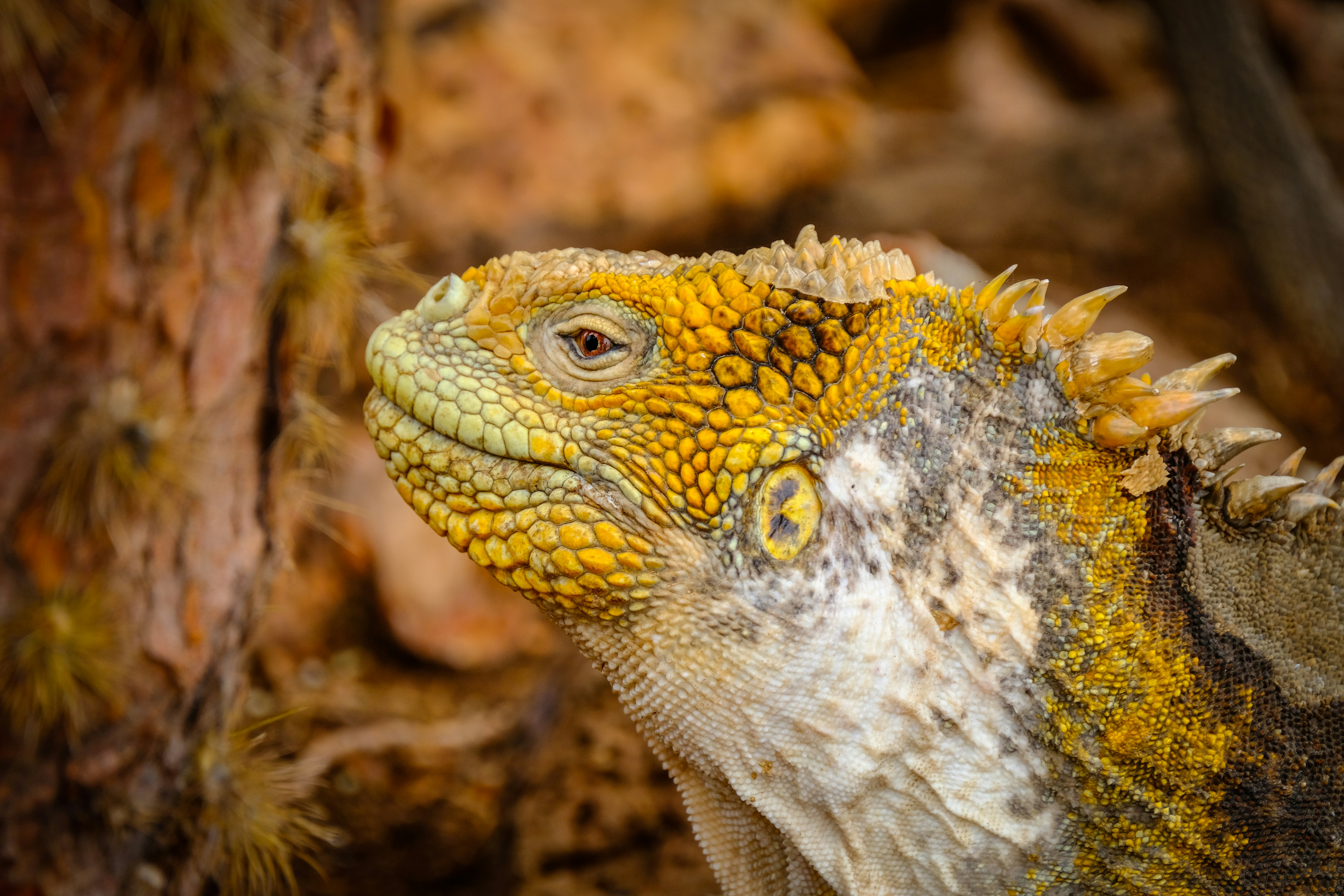 Photo by francesco_ungaro