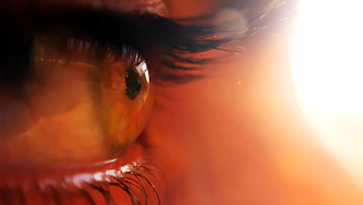 Step-by-step illustration showing the correct distance and lighting for iris photography.