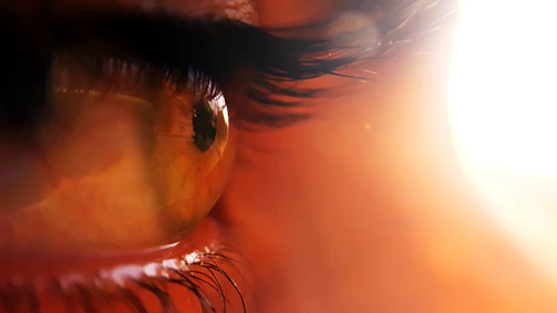 Step-by-step illustration showing the correct distance and lighting for iris photography.