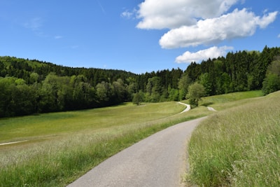 Close-up of a peaceful path winding through the natural landscape of the development.