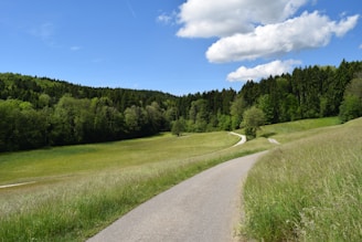 A serene landscape featuring a winding path through lush greenery, symbolizing natural health.