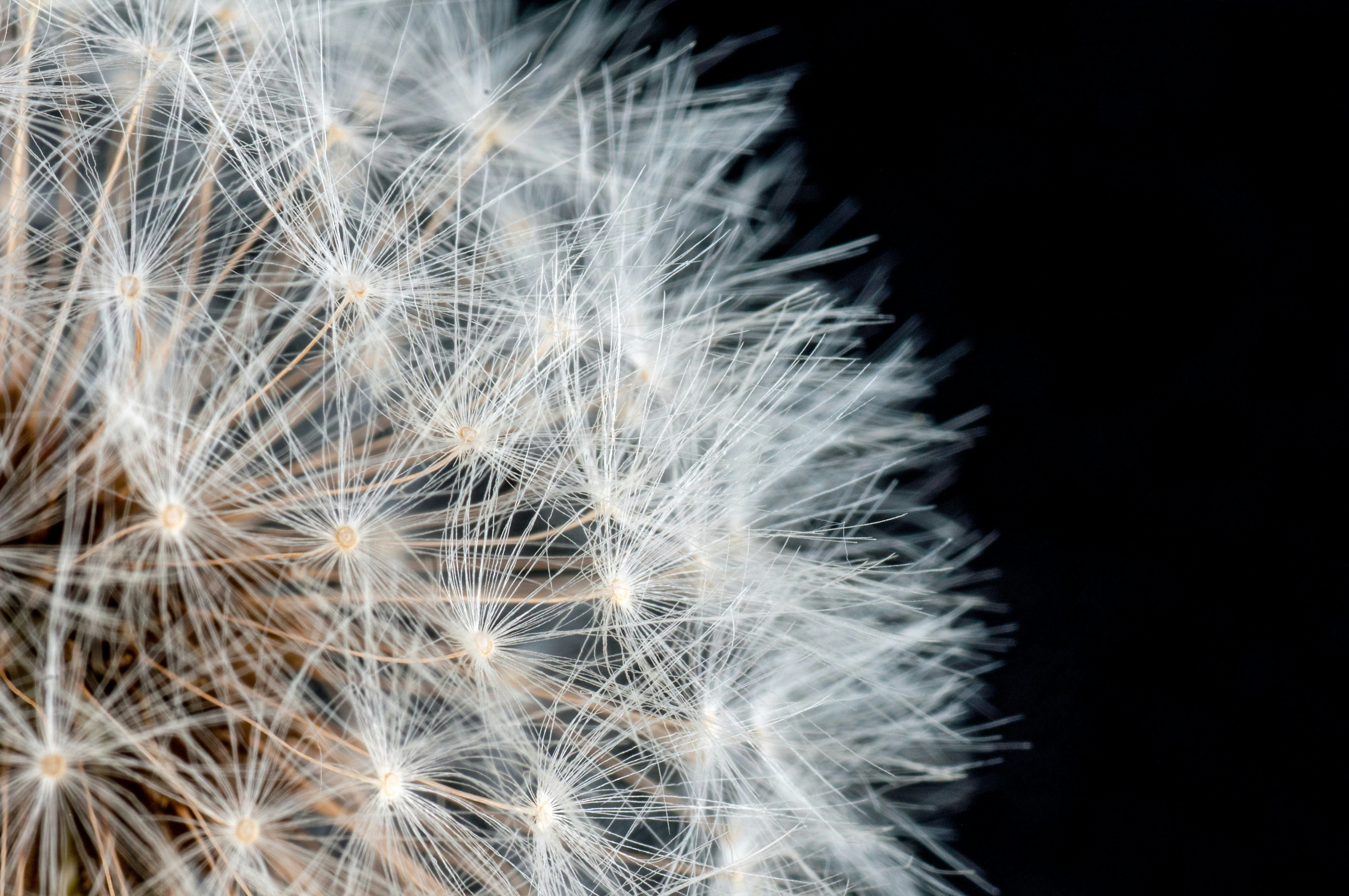 Photo by giovanniconoscenti