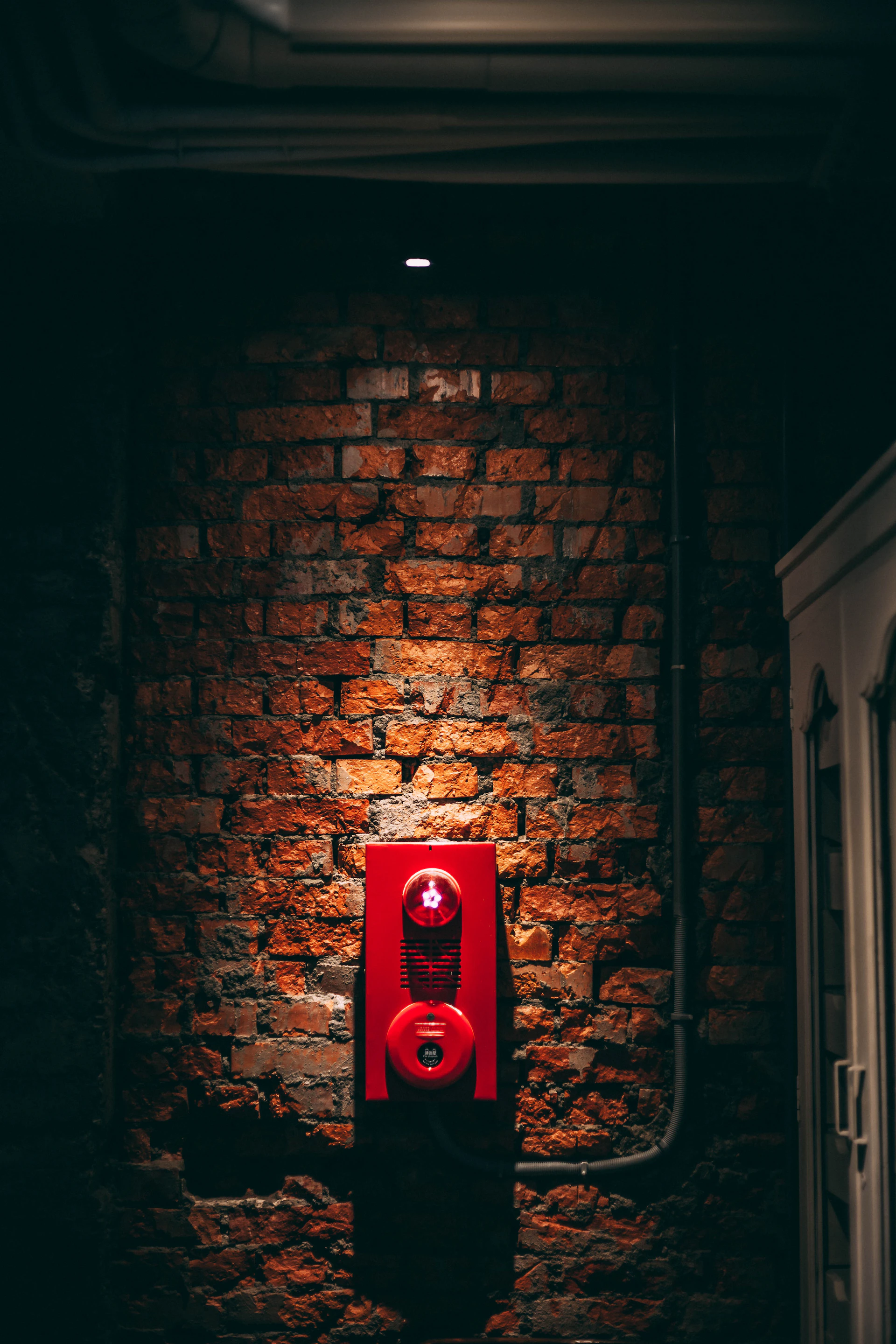 A close-up of a fire alarm system mounted on a ceiling, highlighting the clean installation in a commercial space.